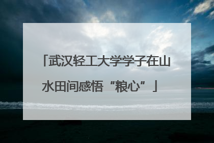 武汉轻工大学学子在山水田间感悟“粮心”